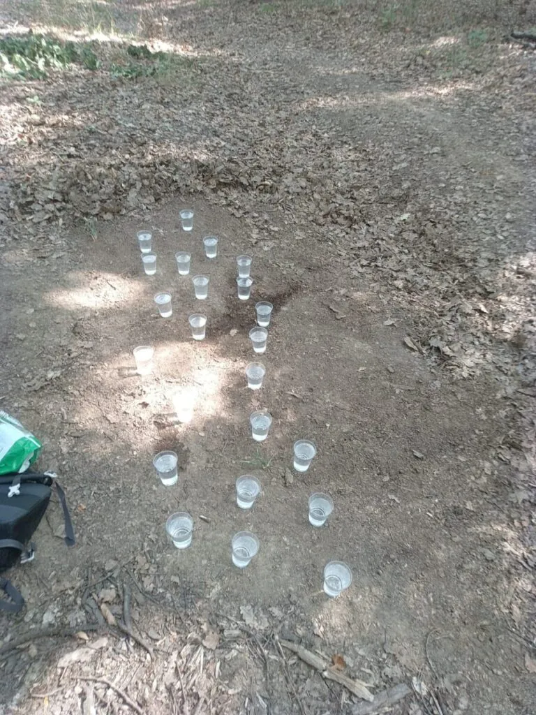 IMG-20250816-WA0151